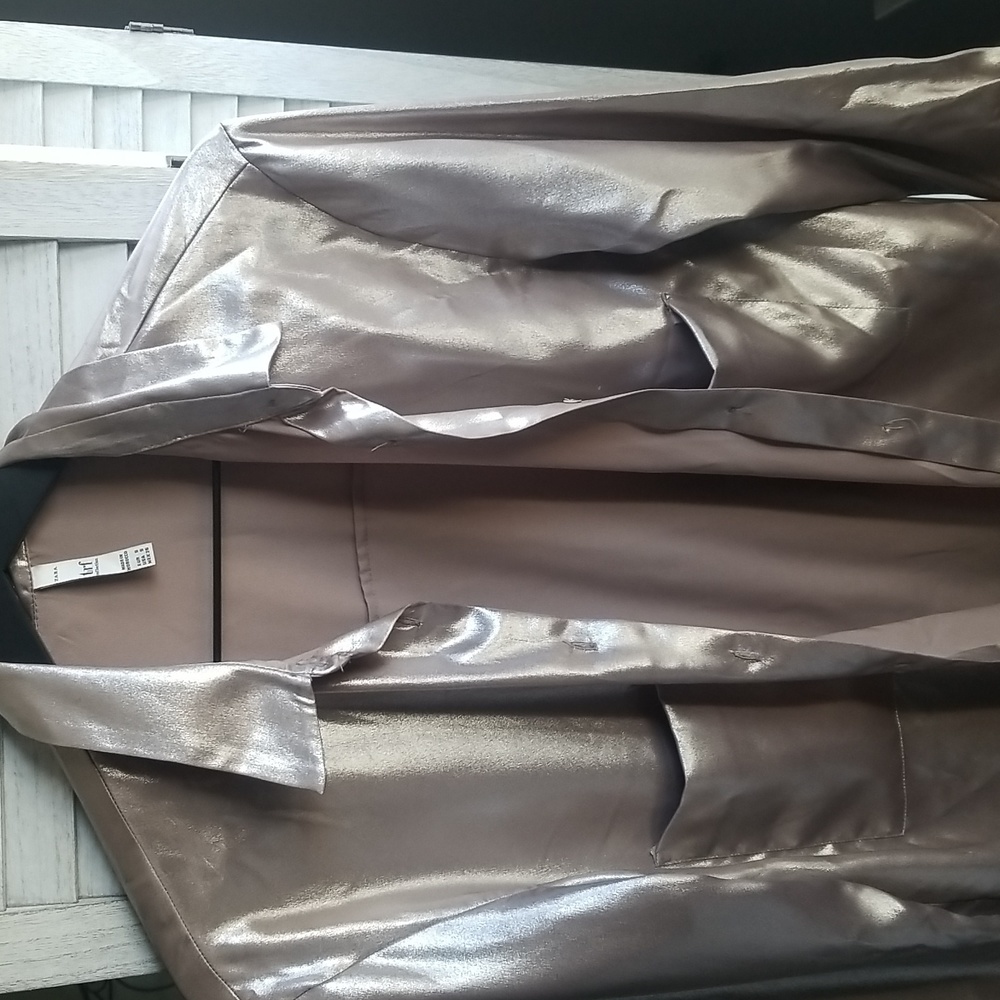 Ladies Zara champagne color to silver blouse.